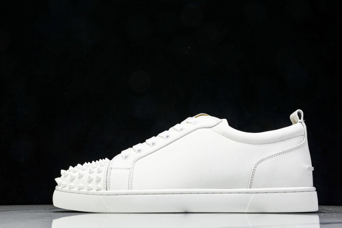 Christian Loubout1n Customize Shoes